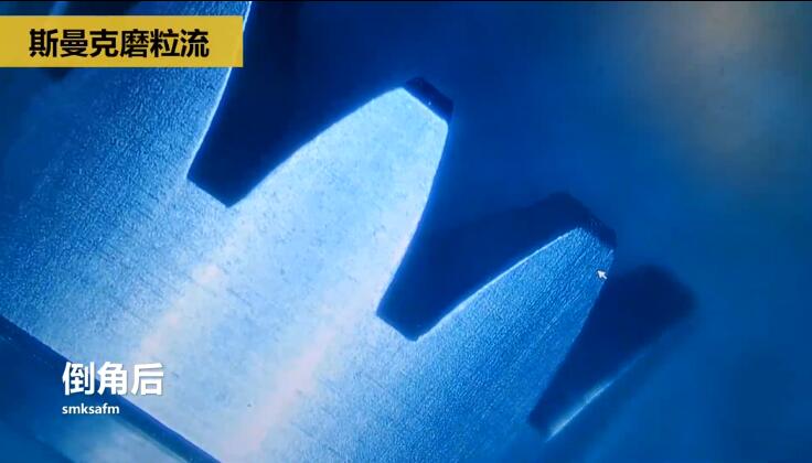 精密小齒輪拋光去毛刺，0.9-1.8秒一個！